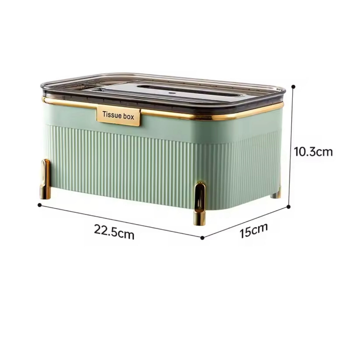 Tissue Box with Storage Organizer