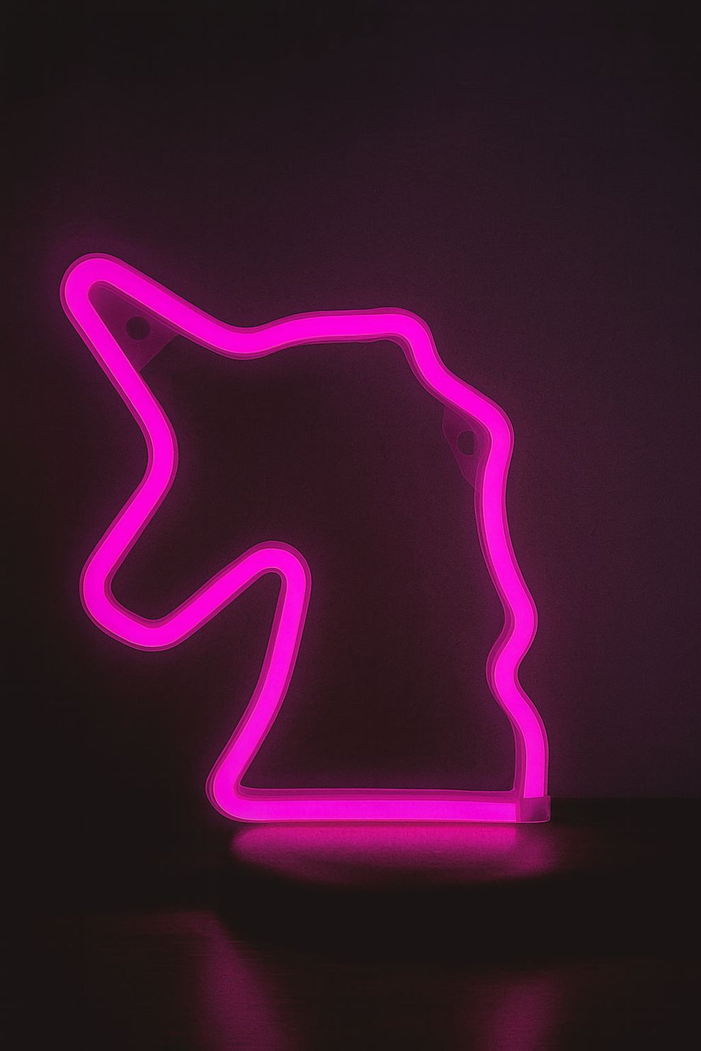 Unicorn Electric Neon Light