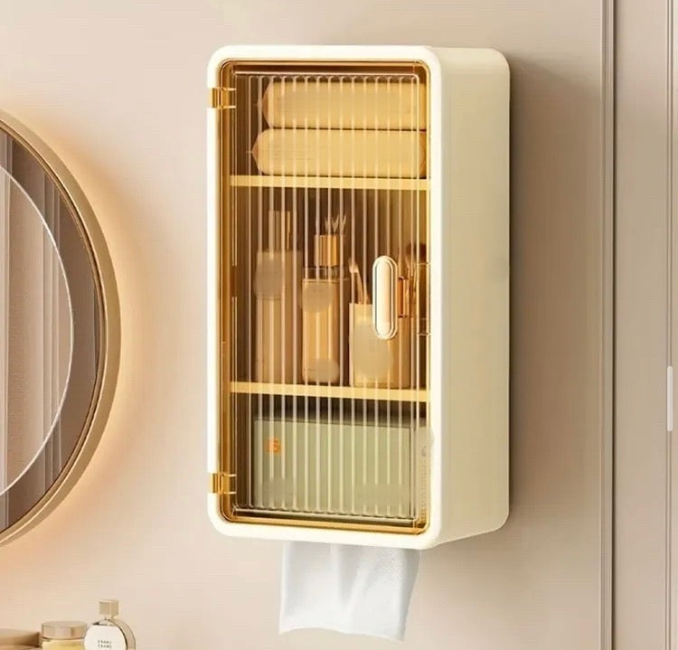 Multipurpose Wall Cabinet with Tissue Holder