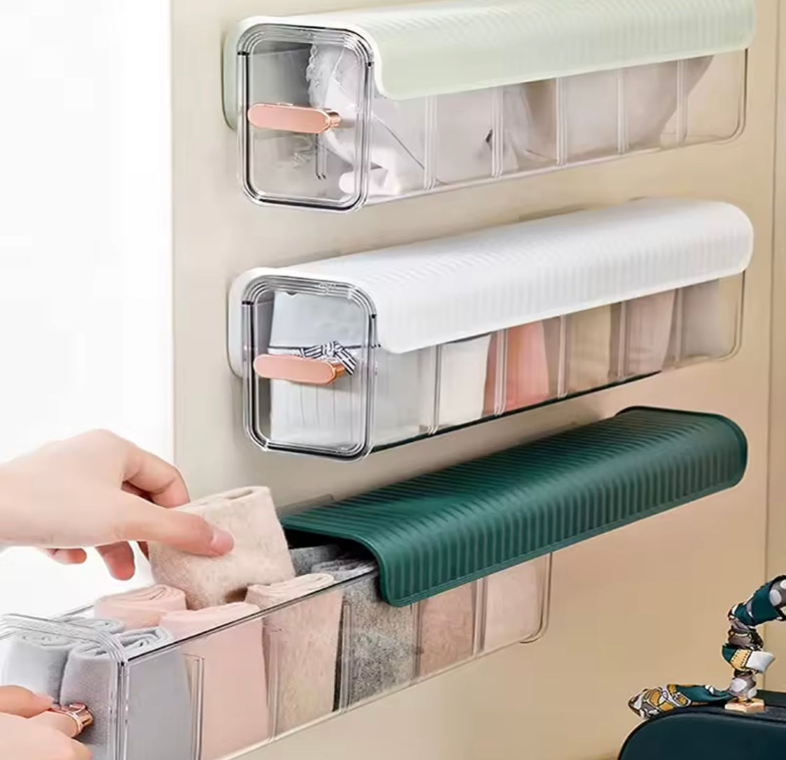 Wall Mounted Storage Comparments Organizer