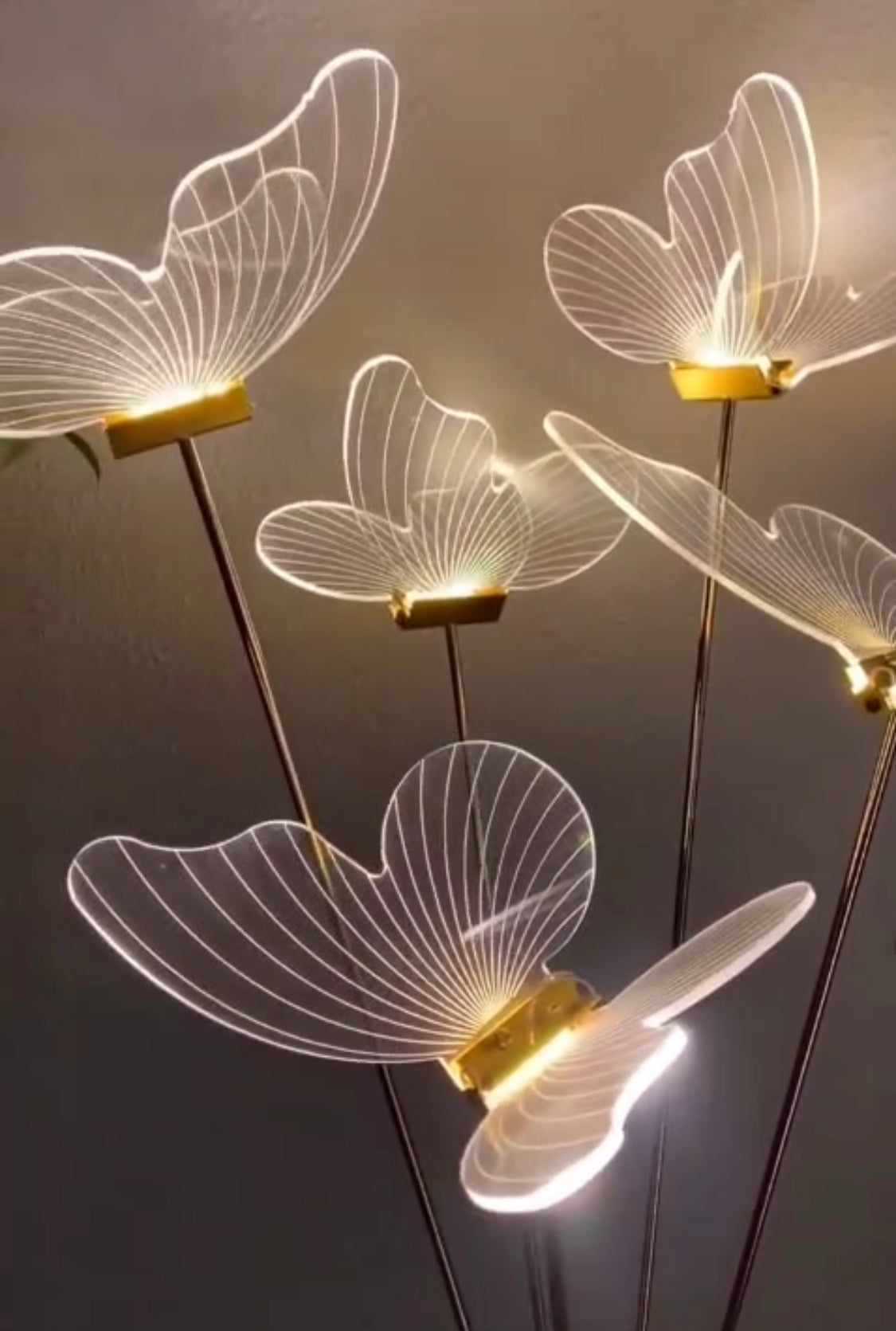 5ft Led Light Butterfly Floor Lamp