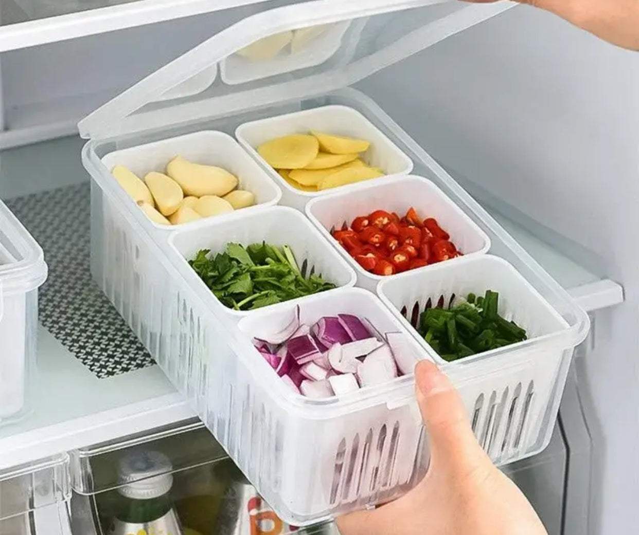 6 Grids Partition Food Container Storage Box