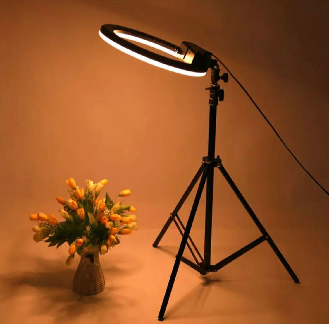 26 Cm Ringlight with 7ft Tripod Stand