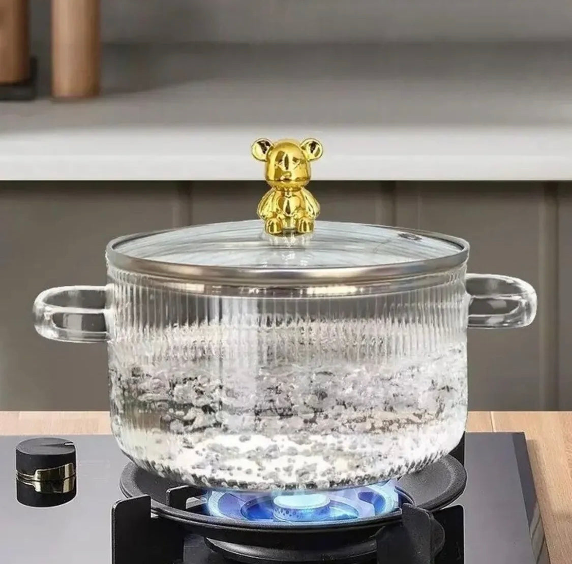 2 Liter Glass Cooking Pot with Lid
