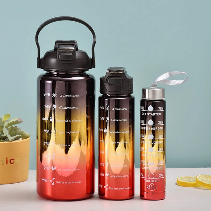 Multipurpose 3 Pcs Metallic Water Bottle set