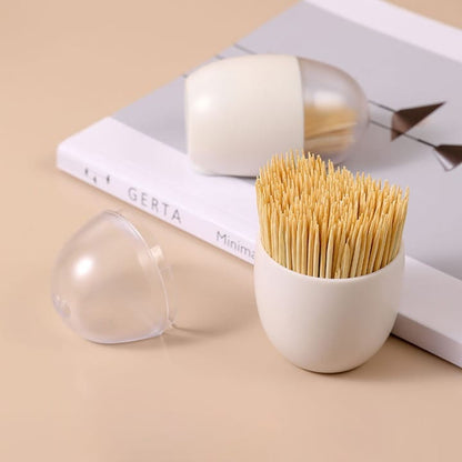 Magnetic Toothpick Holder