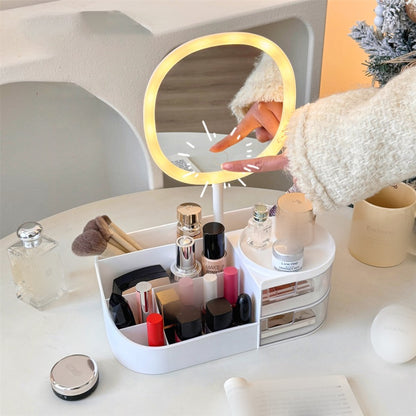 Makeup Cosmetic Organizer with Mirror and Light