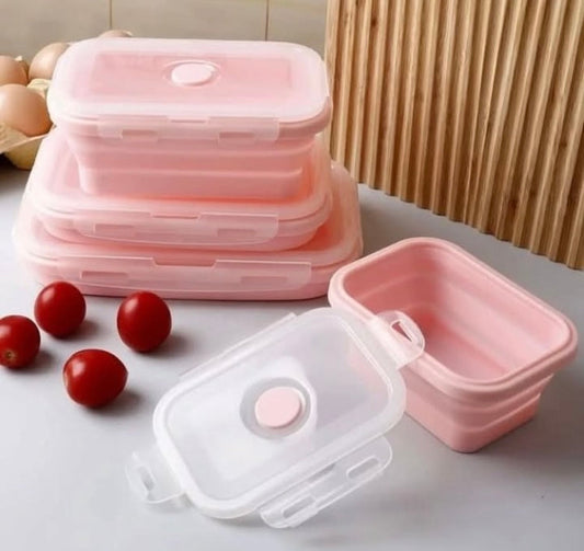 4 Pcs Foldable Silicone Food Storage Boxes