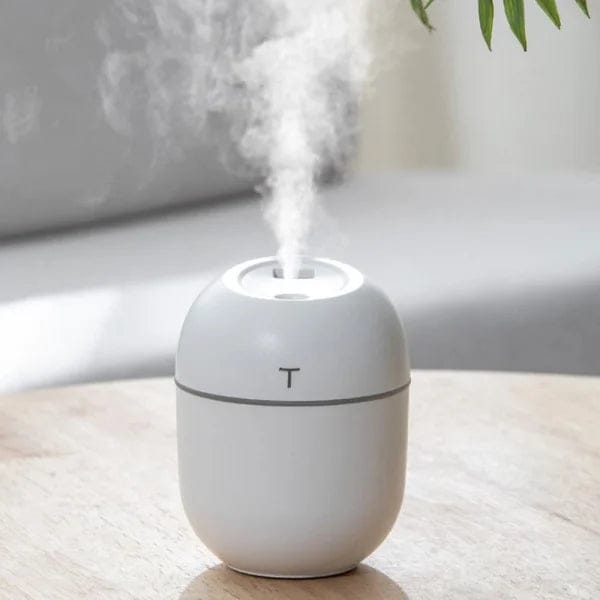 250ml Portable Air Humidifier Diffuser Usb