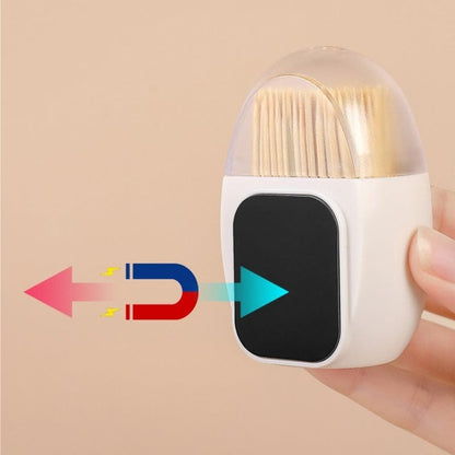 Magnetic Toothpick Holder