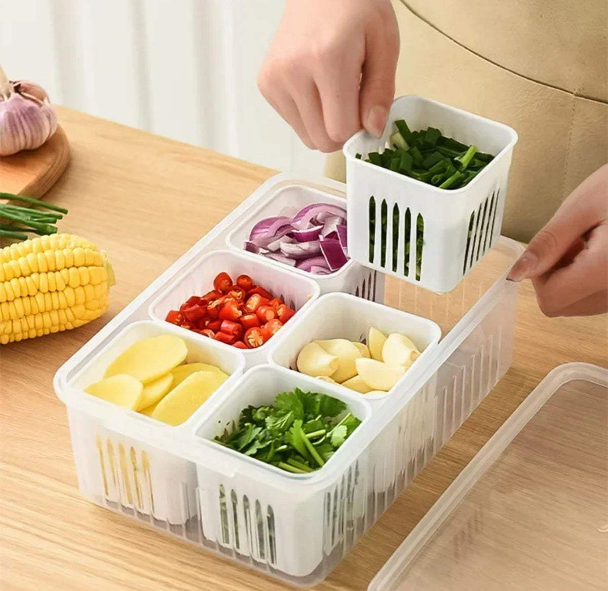 Storage Containers With Partitions 6 Grids Partition Food Container Storage Box – Citystore.pk