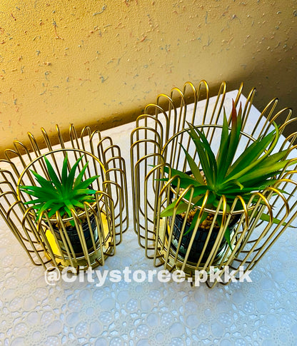 Metal Geometric Cage Style Potted Centerpiece Home Decor Showpiece