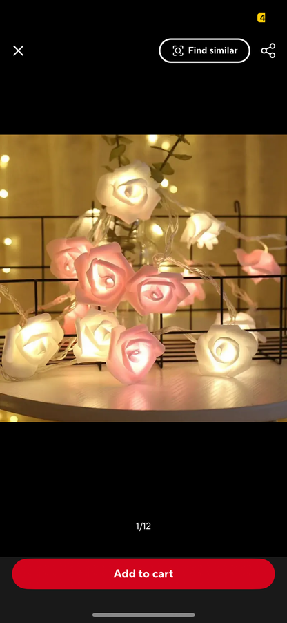 Rose Fairy Lights 3 Colour Available For Home Decor