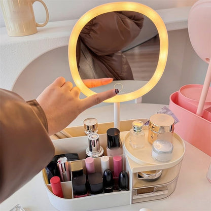 Makeup Cosmetic Organizer with Mirror and Light