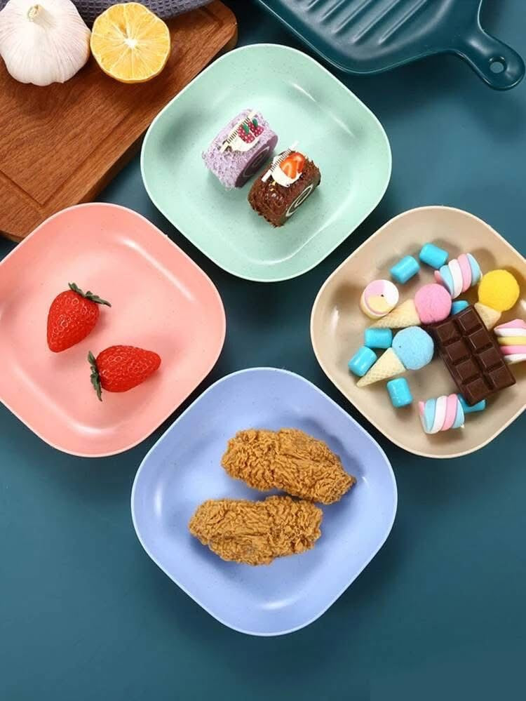 10 Pcs Plates Set with Holder