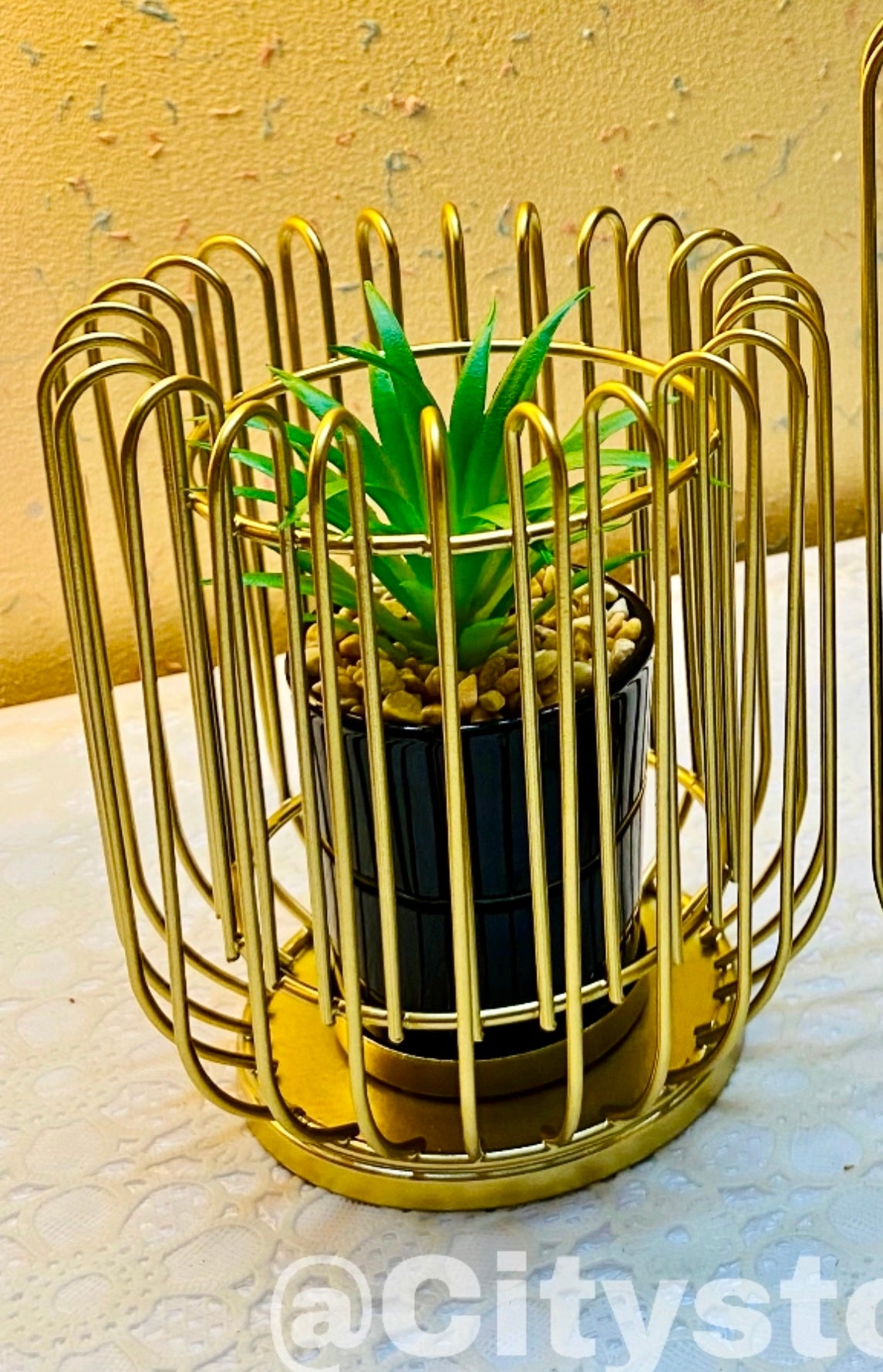 Metal Geometric Cage Style Potted Centerpiece Home Decor Showpiece