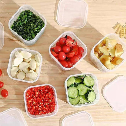 6 Grids Vegetable Storage Box