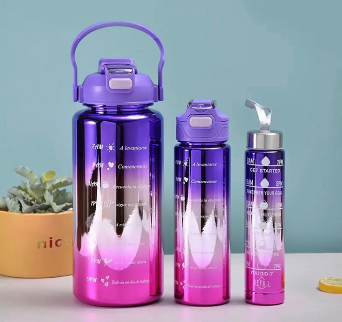 Multipurpose 3 Pcs Metallic Water Bottle set