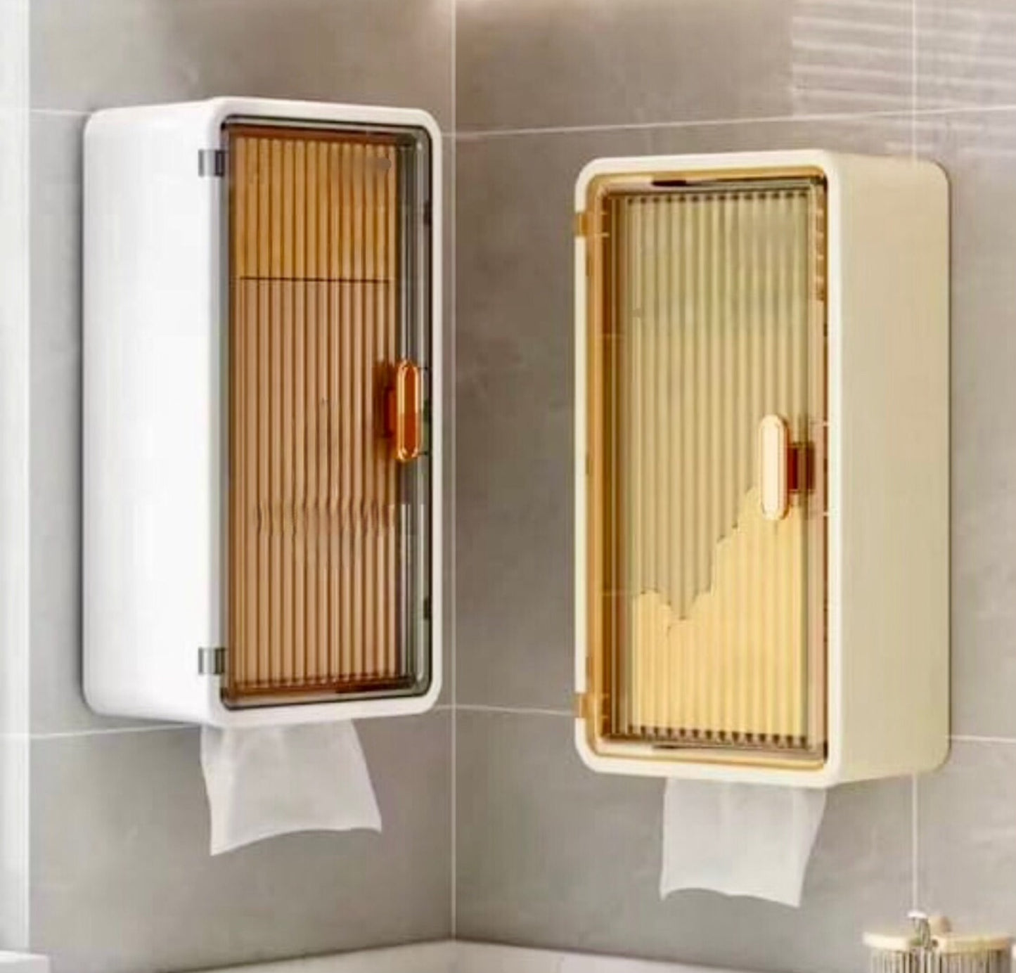 2 in 1 Wall Cabinet with Tissue Holder
