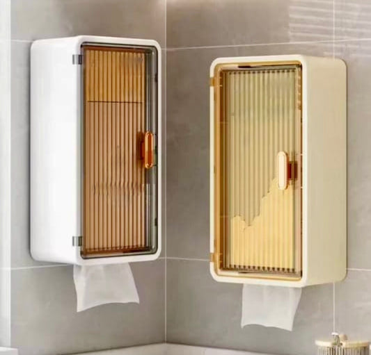 2 in 1 Wall Cabinet with Tissue Holder