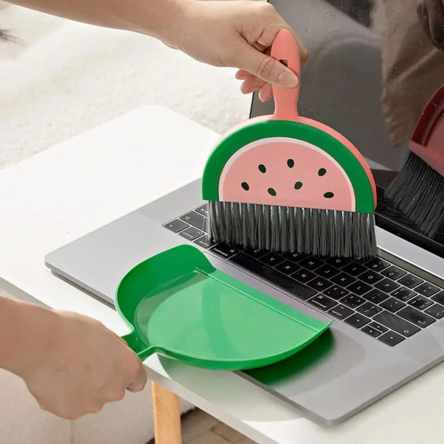 Mini Dustpan and Brush Set