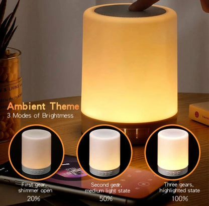 Rechargeable Lamp with Bluetooth Speaker