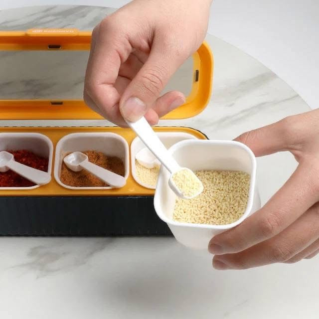 4 Grids Spice Box with Spoons