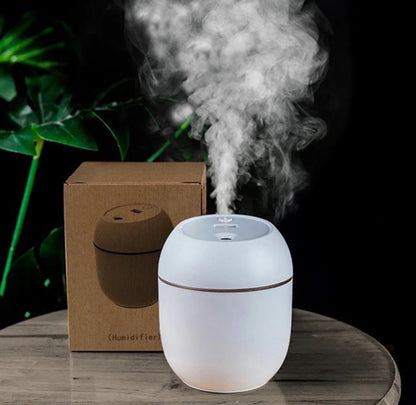 250ml Portable Air Humidifier Diffuser