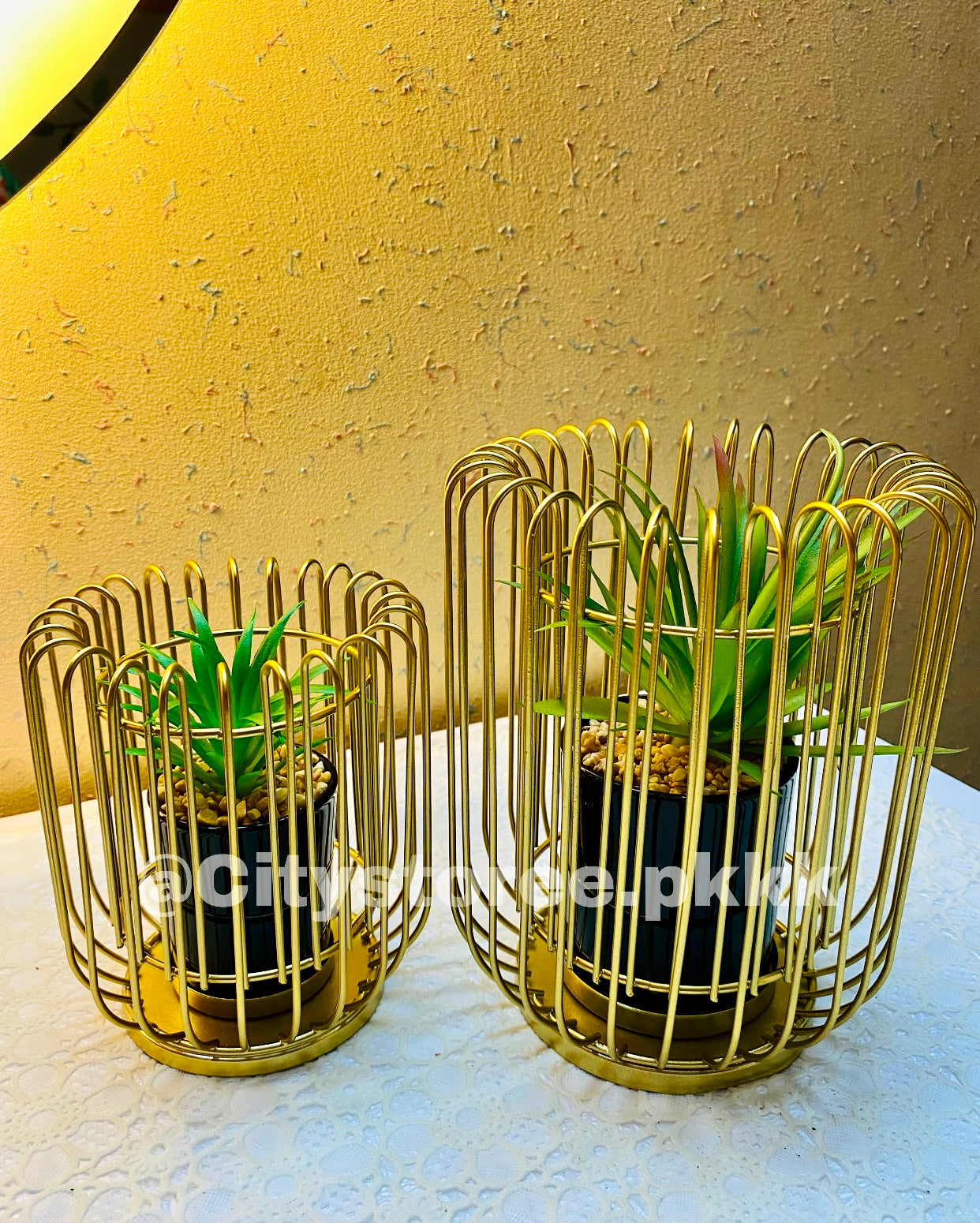 Metal Geometric Cage Style Potted Centerpiece Home Decor Showpiece