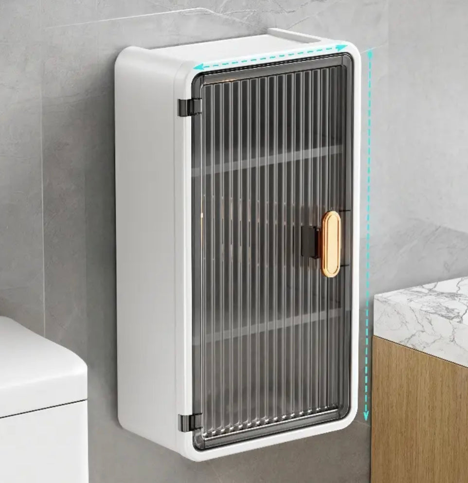 2 in 1 Wall Cabinet with Tissue Holder
